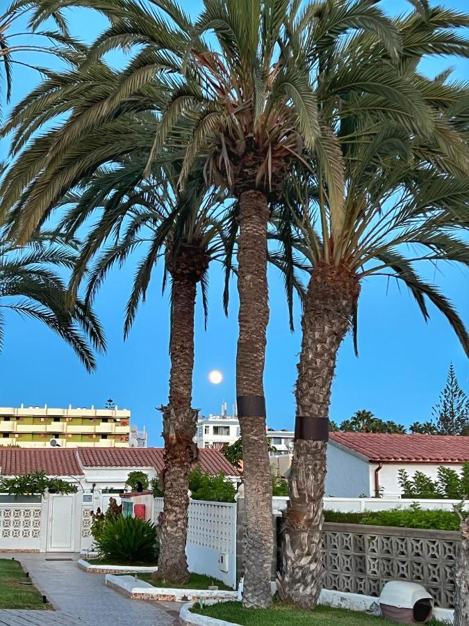 Bungalow "Bahia Azul" Playa del Ingles  Dış mekan fotoğraf